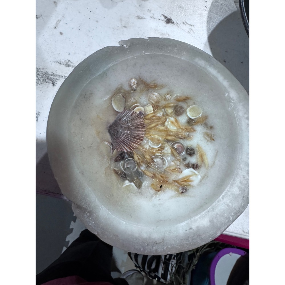 Habersham Candle Company Wax Pottery Vessel Seashell Botanical Home Fragrance